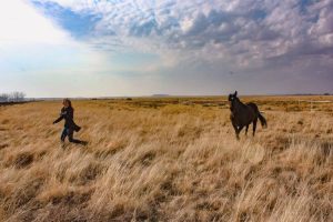 positive reinforcement