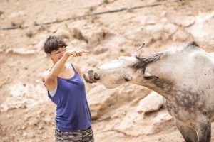 horse smiling liberty