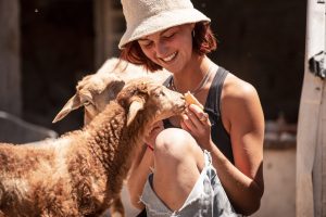 happy volunteer with sheep