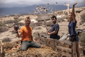 making compost from horse poo
