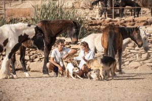Horse & Animal Sanctuary in Tenerife Canary Island
